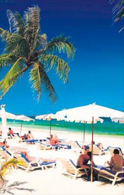 Cennet adasında cinayet