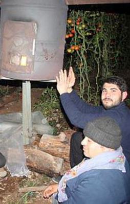 Ortaca'daki domates seralarını don vurdu