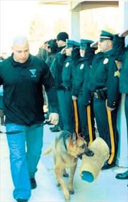 Dikkat! Köpek geçiyor