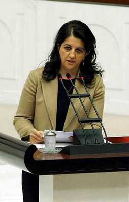 "Senin yeğenin de PKK saflarında"