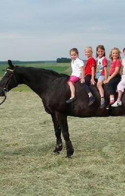 Kimse gerçek olduğuna inanamıyor