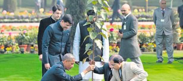 Obama'nın ağacı ölmedi