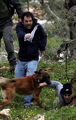 İsrail köpekli işkenceyi geçici olarak durdurdu