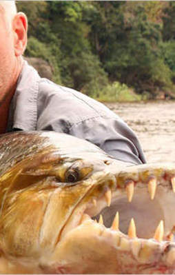 Nehrin vahşi canavaları