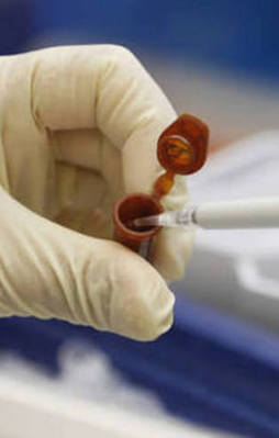 Domuz gribinden 3 kişi hayatını kaybettı