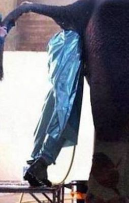 Bu çalışanların işi çok zor