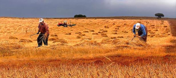 Çiftçiye destek