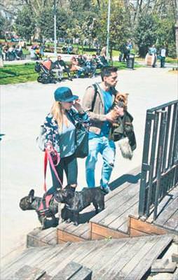 Köpeklerle boğaz sefası