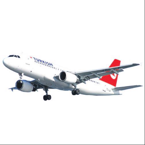 Havada kuş paniği
