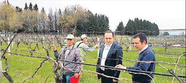 TARSİM Giresun’da çiftçilerle buluştu