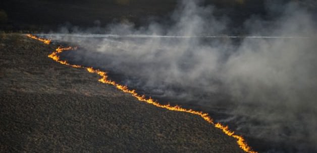 Ukrayna'da yangın "Çernobil"e doğru ilerliyor-2