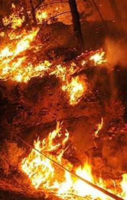 Ukrayna'da yangın "Çernobil"e doğru ilerliyor