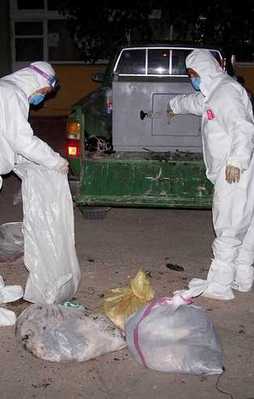 Bandırma'da kuş gribi alarmı