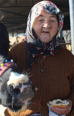 Hiç ineği yok ama yüzlerce litre süt satıyor