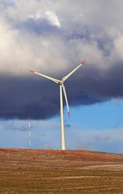 Partiler "yeşil enerji"de birleşiyor