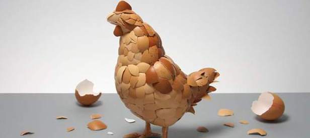 Tavuk eti ve katı yumurta tüketilmesi risk oluşturmuyor