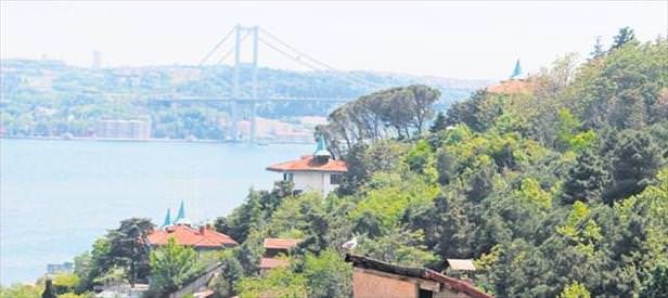 Gölgeye kaçtı!