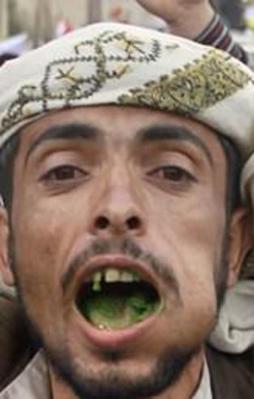 Yemen'in El Kaide'si "gat"ı yasakladı