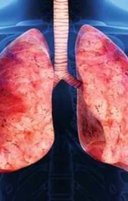 Akciğerlerinizi sıfır kilometre yapacak 6 besin