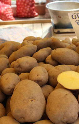 Rekabet Kurumu devreye girdi