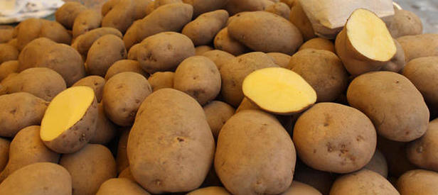 Rekabet Kurumu devreye girdi