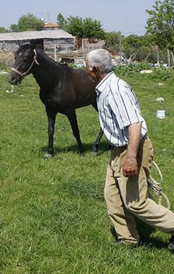 Beş bin lira maaşlı çoban işi bıraktı