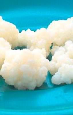 Tohumlu kefir vücudu temizliyor