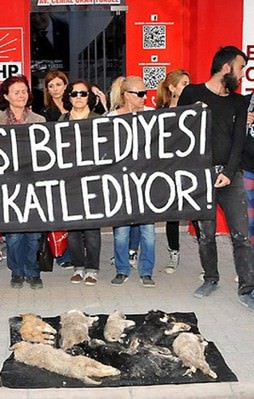 Hayvanseverlerden CHP'li belediyeye protesto