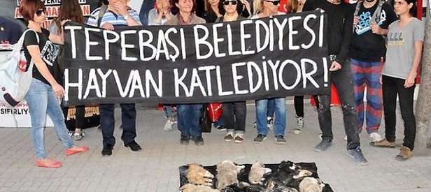 Hayvanseverlerden CHP’li belediyeye protesto