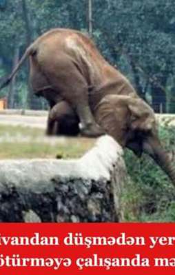 Caps çılgınlığını bir de Azerice yaşayın