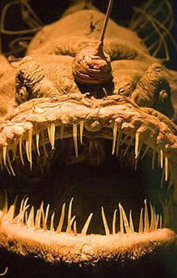 Bu balığın öyle değişik bir özelliği var ki...