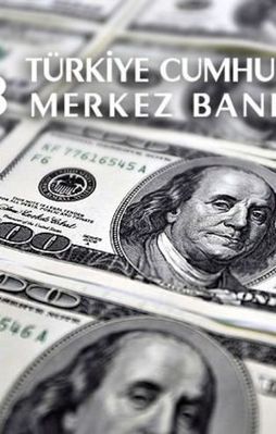 Merkez Bankası'ndan döviz hamlesi