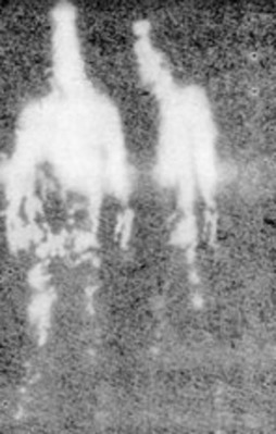 Cinler nasıl bir görünüme sahiptir?