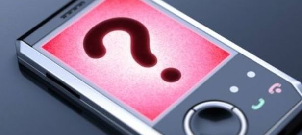 Mobil "numara sorgulama" sistemi web ortamında