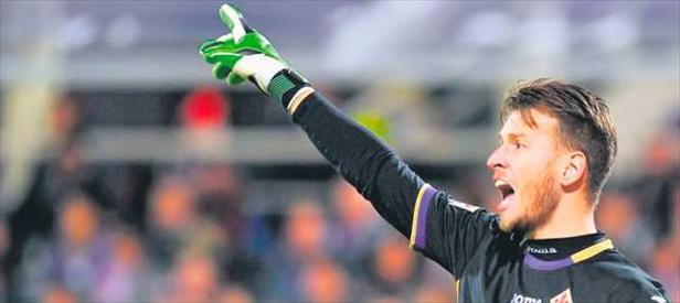 Kanarya'da hedef Neto