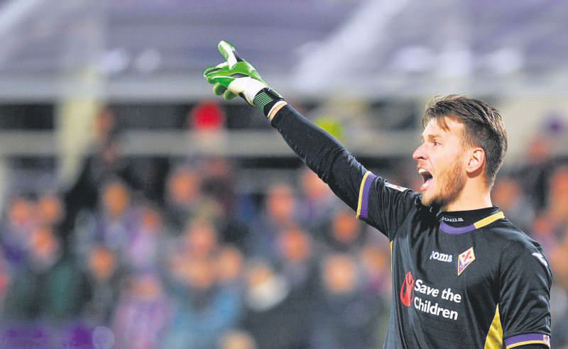Kanarya'da hedef Neto