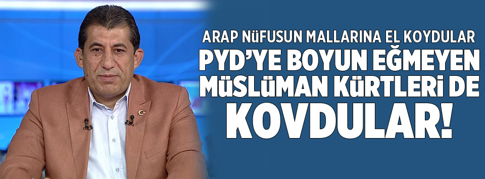 PYD’nin amacı etnik temizlik