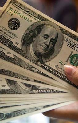 Doların hızı kesildi