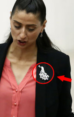 Ezidi vekilin broşundaki sır