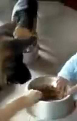 Mama için inatlaştılar