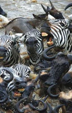 Ölüme böyle meydan okuyorlar!