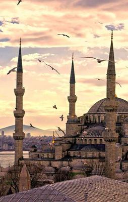 Müslümanları bölen tartışmada önemli adım