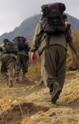 Şırnak'ta 8 PKK'lı teslim oldu