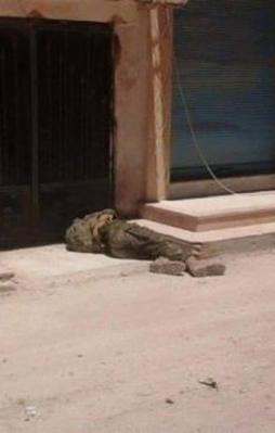 İşte Kobani'ye saldıran IŞİD militanı