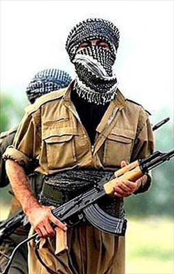 8 PKK'lı teslim oldu