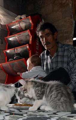 Kedilere mama var bebeğe yok!