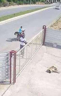 Pompalı tüfekle köpek katleden şahıs yakalandı
