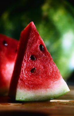 Küçüğü Avrupa kapısını açıyor