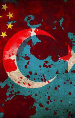 Çin'den Doğu Türkistan açıklaması