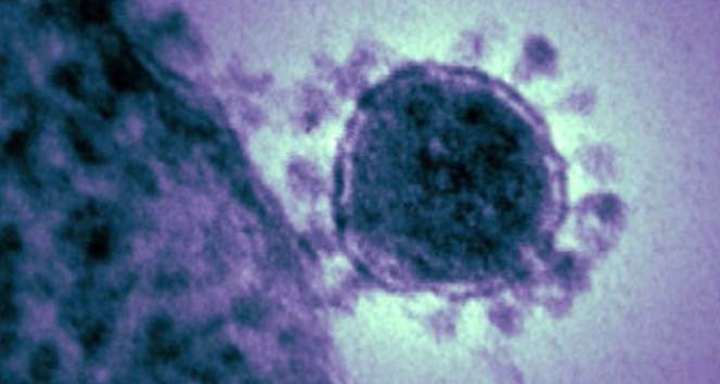 Ebola salgını Liberya’ya geri döndü